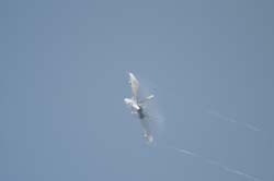 Swiss-F-18C (30)