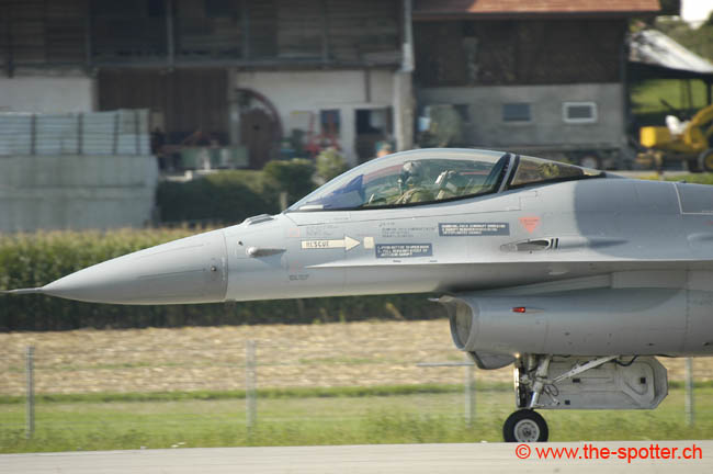 Falcon-varied (2)