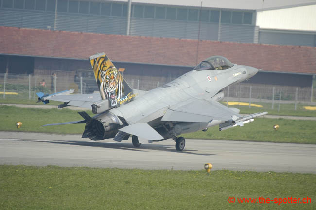 Falcon-varied (21)