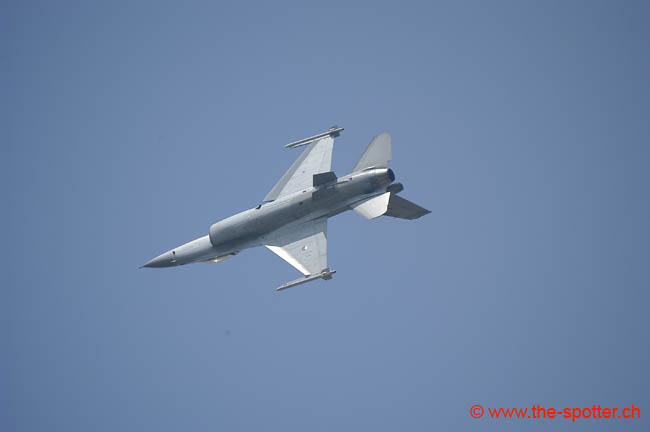 Falcon-varied (22)