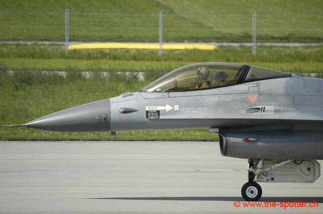 Falcon-varied (25)