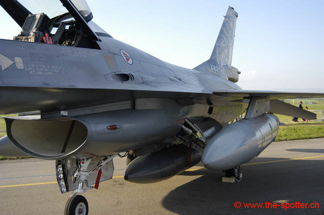 Falcon-varied (34)