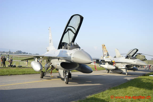 Falcon-varied (35)