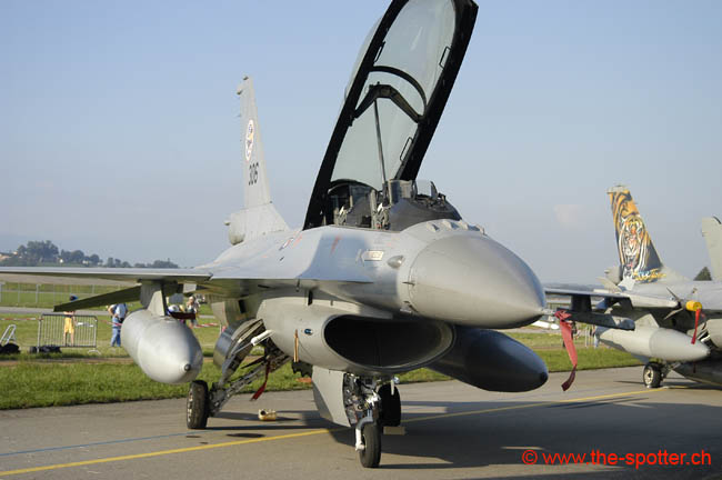 Falcon-varied (36)