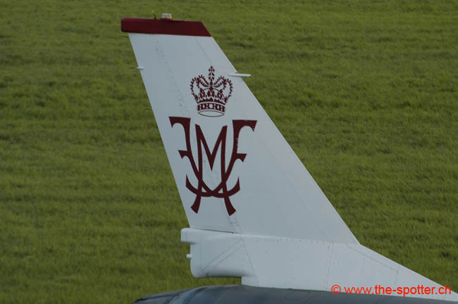 Falcon-varied (38)