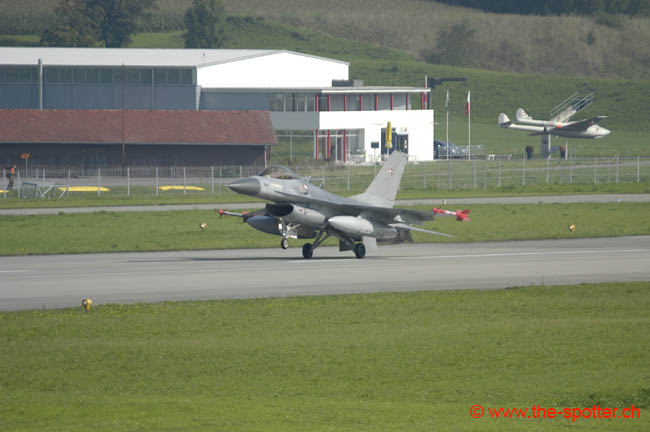 Falcon-varied (4)
