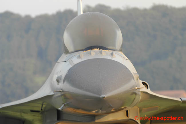 Falcon-varied (40)