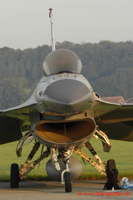 Falcon-varied (41)