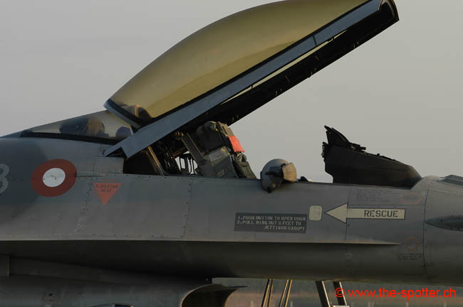 Falcon-varied (42)
