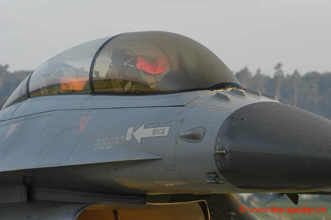 Falcon-varied (44)
