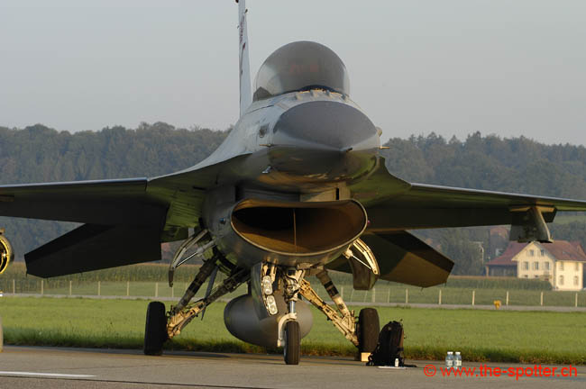 Falcon-varied (45)