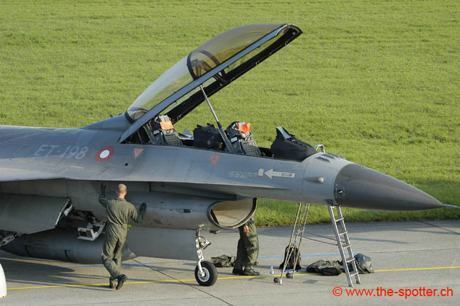 Falcon-varied (48)