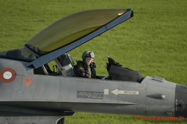 Falcon-varied (50)