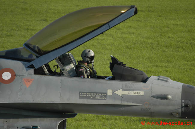 Falcon-varied (51)
