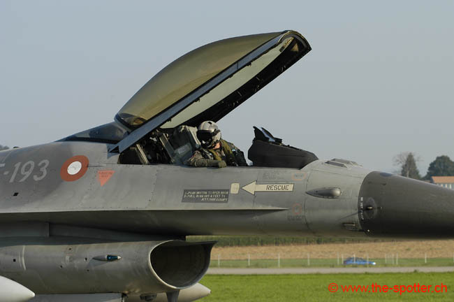 Falcon-varied (54)