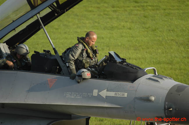 Falcon-varied (56)