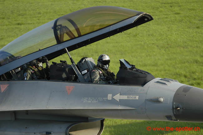 Falcon-varied (59)
