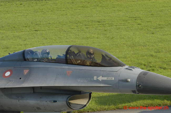 Falcon-varied (60)