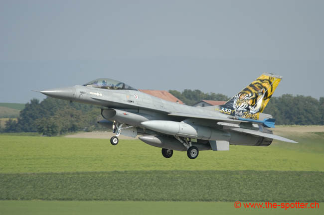 Falcon-varied (77)