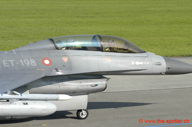 Falcon-varied (8)