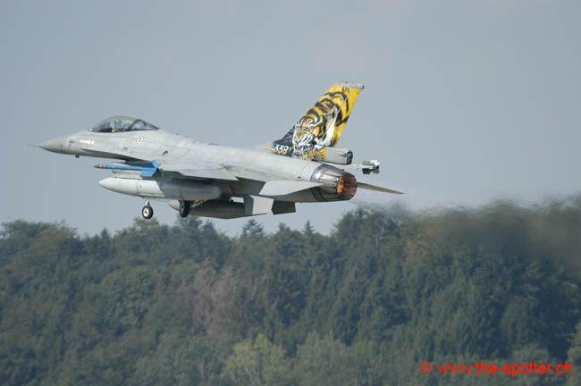 Falcon-varied (80)