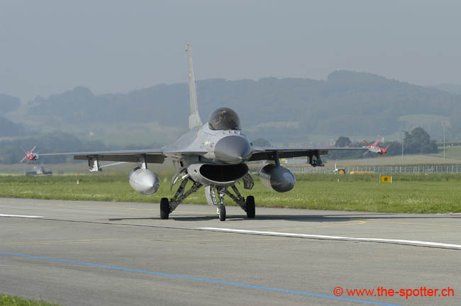 Falcon-varied (9)