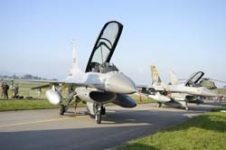 Falcon-varied (35)