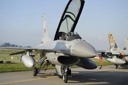 Falcon-varied (36)