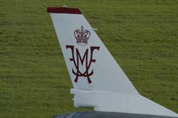 Falcon-varied (38)