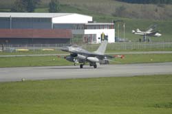 Falcon-varied (4)