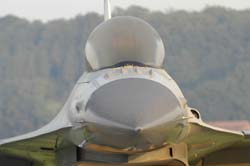 Falcon-varied (40)