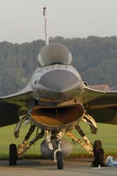 Falcon-varied (41)