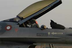 Falcon-varied (42)