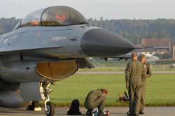 Falcon-varied (43)