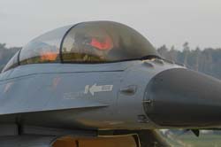 Falcon-varied (44)