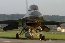 Falcon-varied (45)