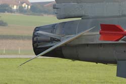 Falcon-varied (46)