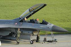 Falcon-varied (48)