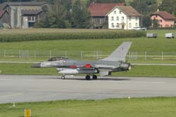 Falcon-varied (5)