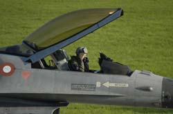 Falcon-varied (50)