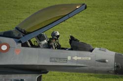 Falcon-varied (51)