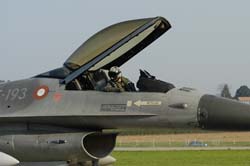 Falcon-varied (54)