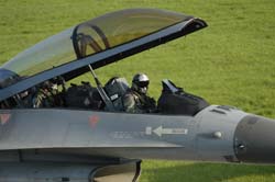 Falcon-varied (59)