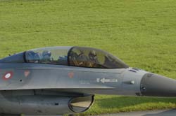 Falcon-varied (60)