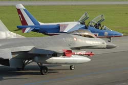 Falcon-varied (61)