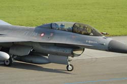 Falcon-varied (63)