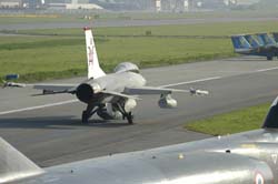 Falcon-varied (65)