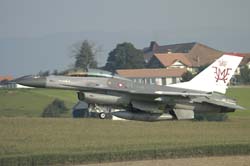 Falcon-varied (66)