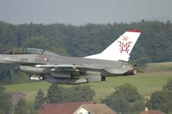 Falcon-varied (67)