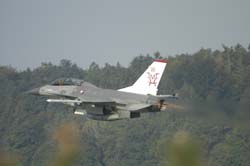 Falcon-varied (68)